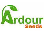 Ardour Seeds-