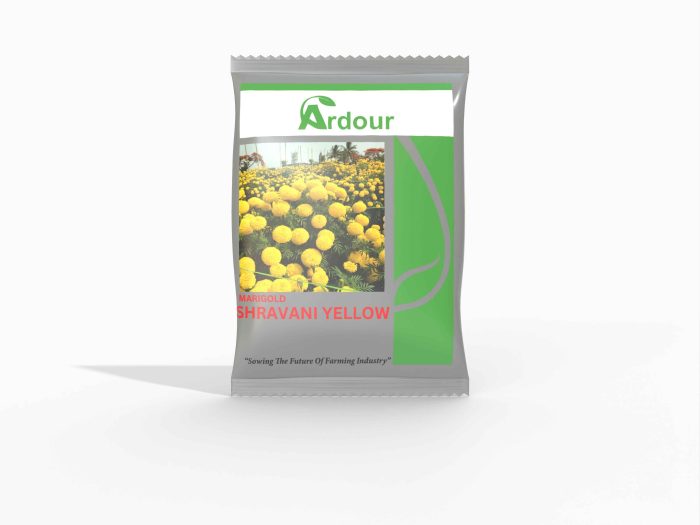 Shravani Yellow Marigold