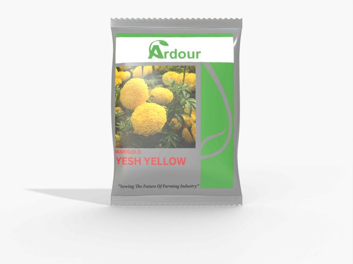 Yesh Yellow Marigold